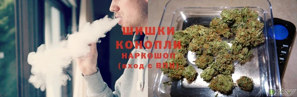 дживик Арсеньев