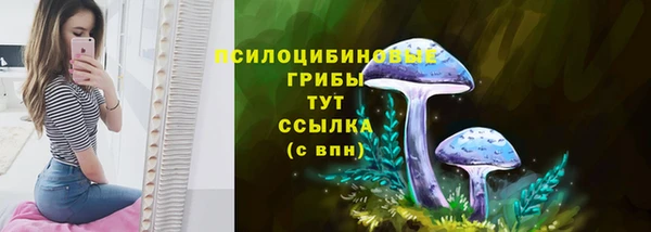 дживик Арсеньев