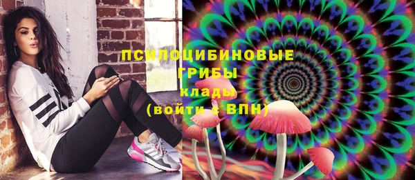 apvp Аркадак