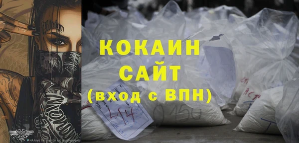 дживик Арсеньев