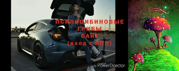 дживик Арсеньев